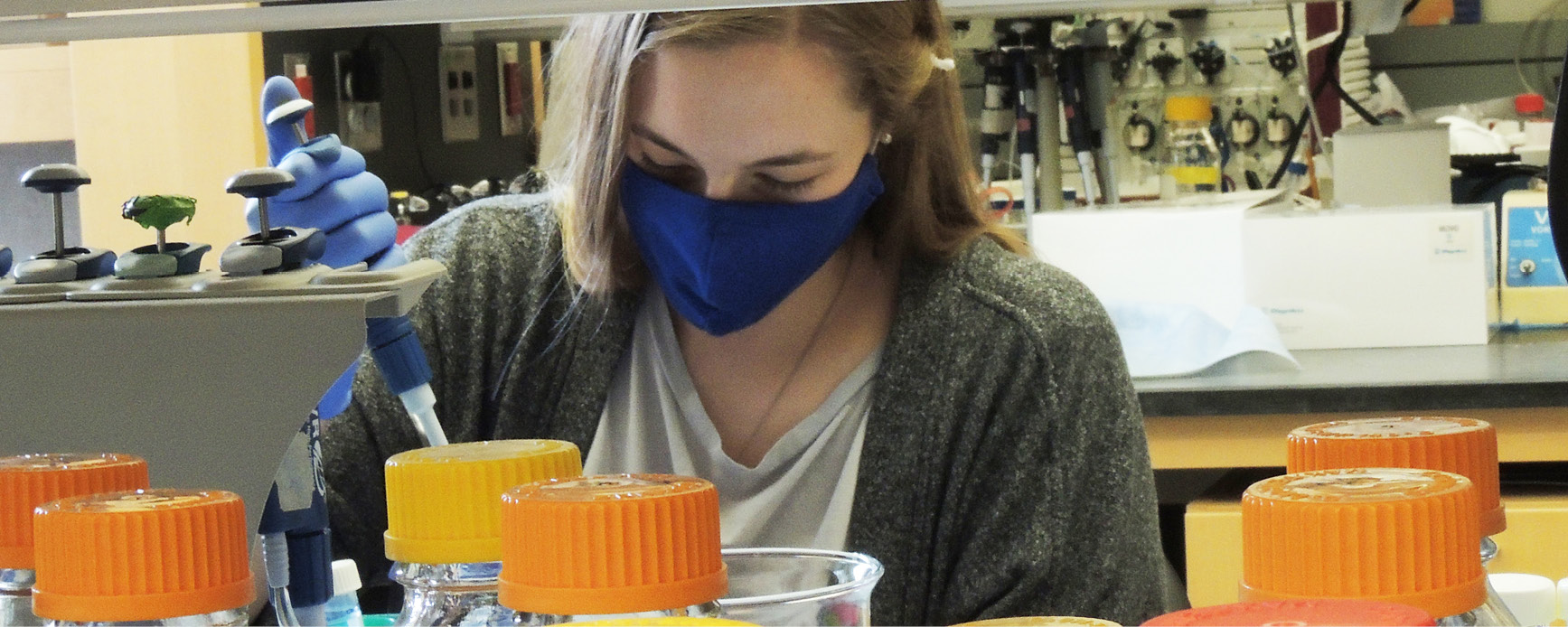 PhD student in the lab