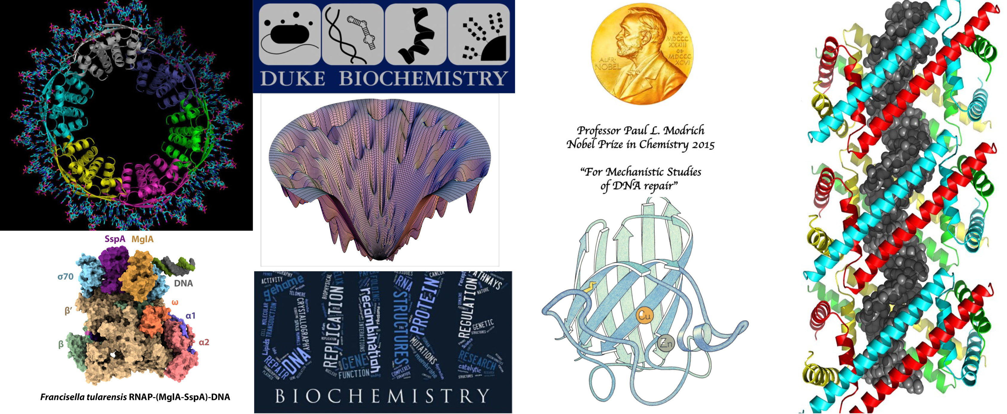 Faculty Research Collage