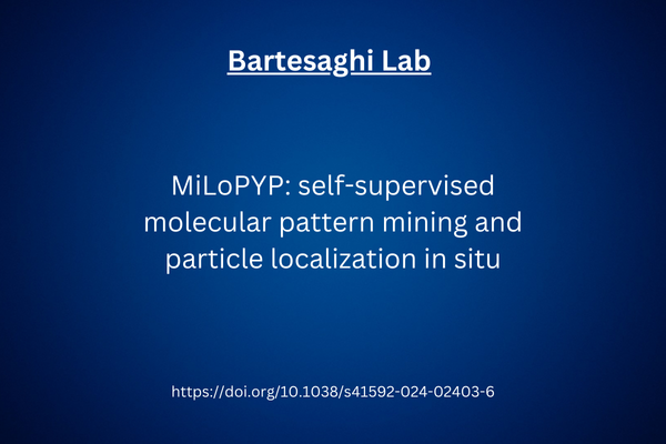 Bartesaghi Lab Nature Article