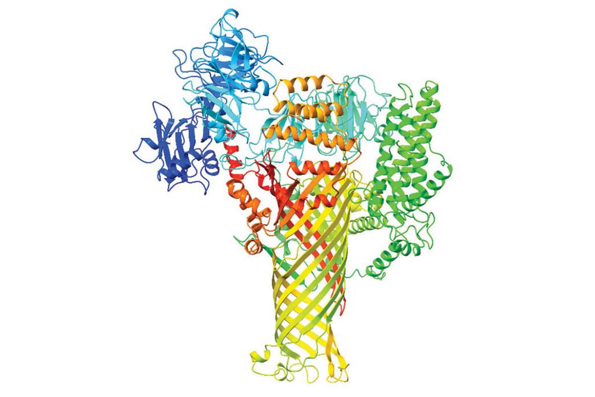 Protein DspE