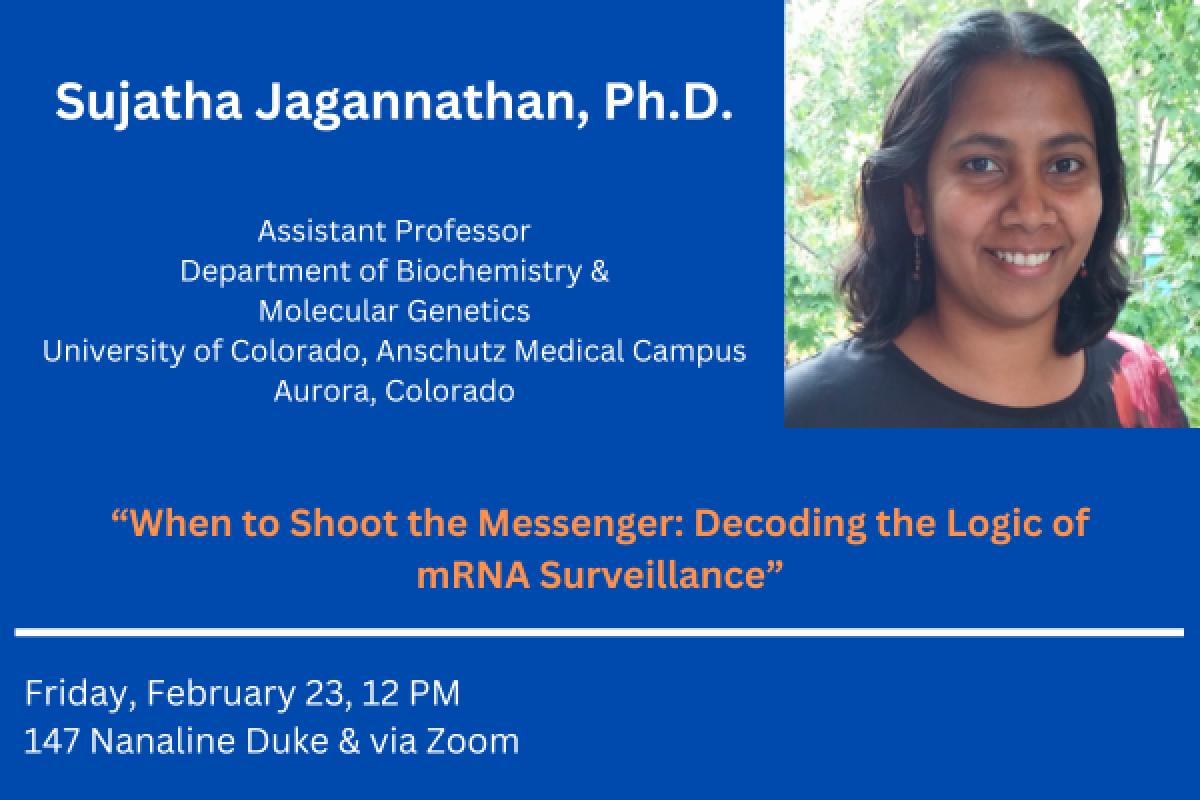 Suja Jagannathan - Carousel