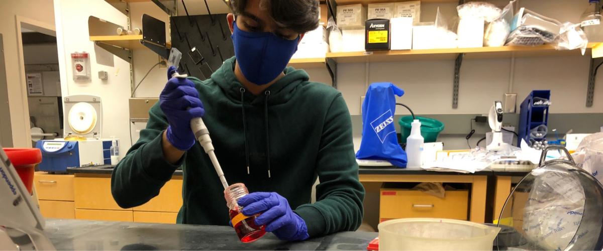 Undergraduate student with pipette
