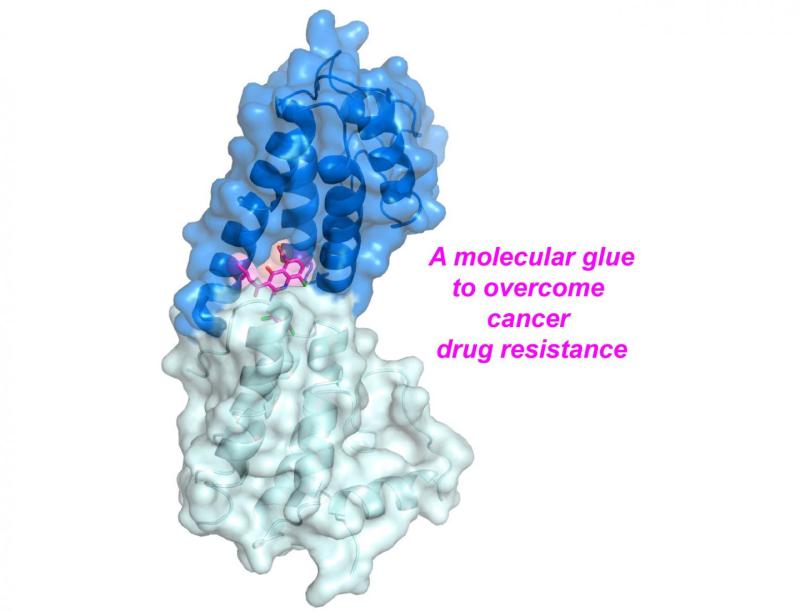 Zhou Lab - Cell Today Published