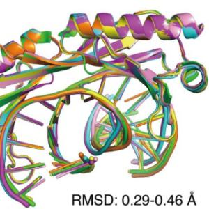 Transcription Factors