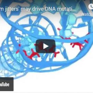 Quantum Jitters my drive DNA mutation