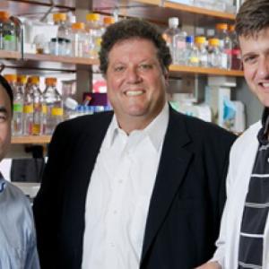 Drs. Pei Zhou, Eric Toone and Vance Fowler