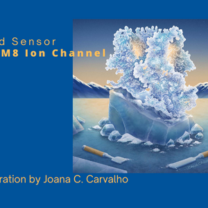 Cold Sensor TRPM8 Ion Channel