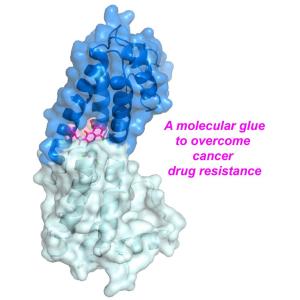 Zhou Lab - Cell Today Published