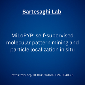 Bartesaghi Lab Nature Article