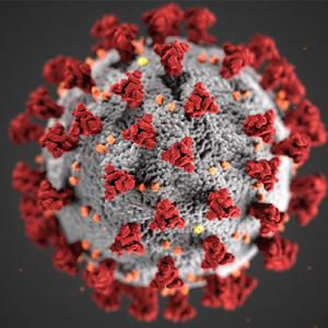 COVID cell image